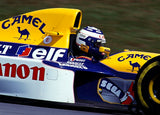 WILLIAMS FW15C - 1993 F1 SEASON - Unisex Hoodie